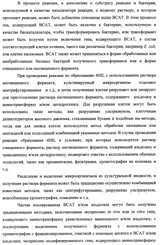 Способ производства 4-гидрокси-l-изолейцина или его соли (патент 2355767)