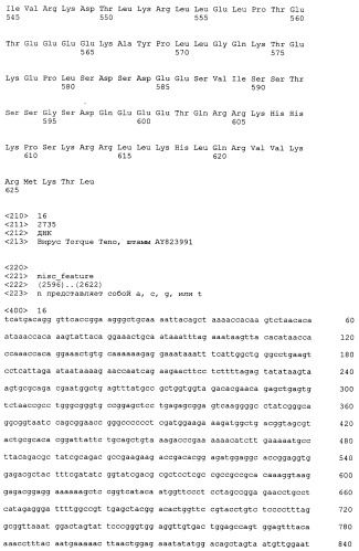 Выделенная полинуклеотидная молекула, кодирующая вирус torque teno, молекула рнк и вектор экспрессии (патент 2502801)