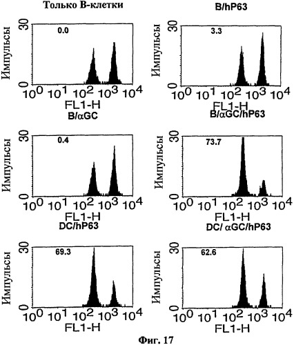 Вакцина на основе в-клеток, нагруженных лигандом т-клеток-природных киллеров и антигеном (патент 2420311)
