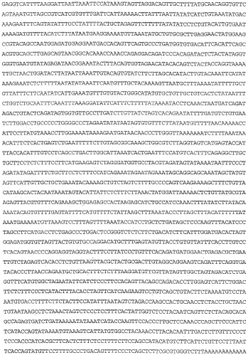 Применение s1p (патент 2362565)