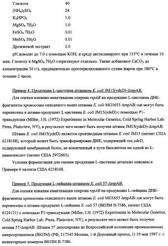 Способ получения l-треонина с использованием бактерии, принадлежащей к роду escherichia, в которой инактивирован оперон rspab (патент 2337961)