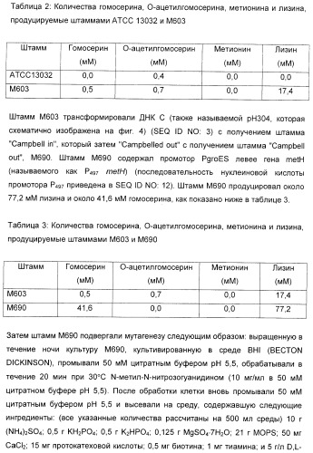 Применение диметилдисульфида для продукции метионина микроорганизмами (патент 2413001)