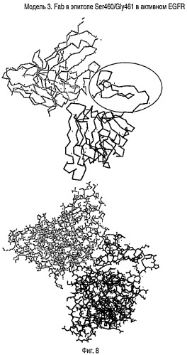 Лечение опухолей, экспрессирующих мутантные рецепторы egf (патент 2429014)