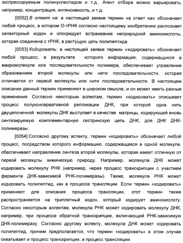 Генетически кодируемые флюоресцентные кумариновые аминокислоты (патент 2473690)