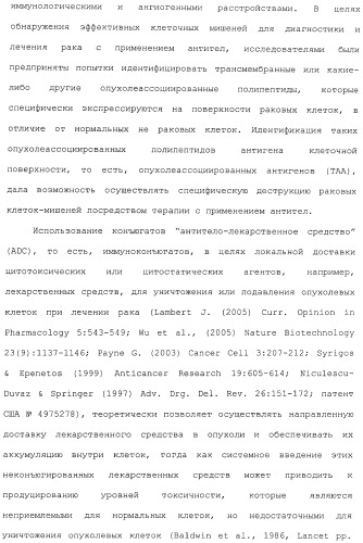 Антитела, сконструированные на основе цистеинов, и их конъюгаты (патент 2412947)