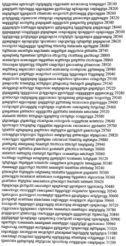 Модуляция экспрессии гентингтина (патент 2562861)