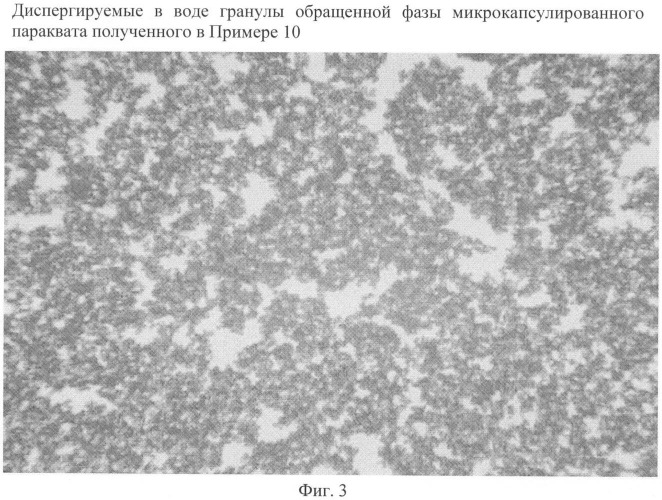 Обращенно-фазовые микрокапсулы для активных ингредиентов, упрощенный способ их получения и комбинированные составы wdg-cs, zc, ec-sc и cx (патент 2440378)
