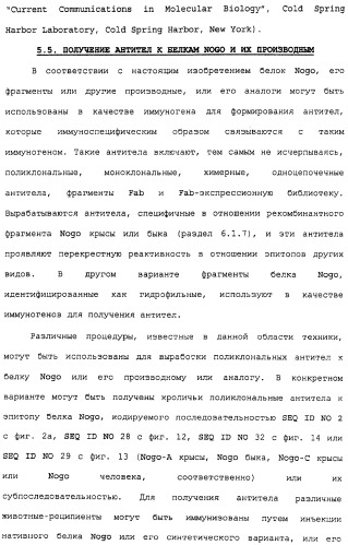 Поликлональное антитело против nogo, фармацевтическая композиция и применение антитела для изготовления лекарственного средства (патент 2432364)