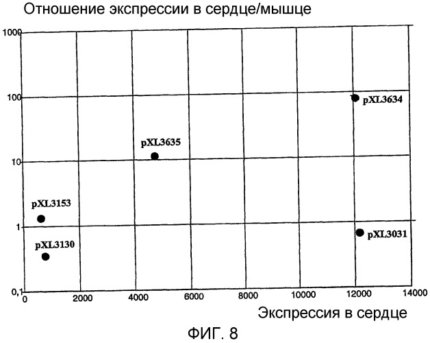 Последовательность, расположенная выше гена carp, вектор, содержащий эту последовательность, и их использование (патент 2283865)