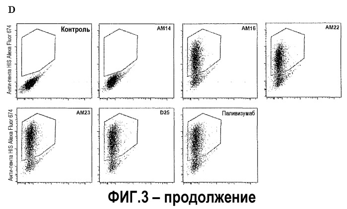 Молекула, специфически связывающаяся с rsv (патент 2540020)