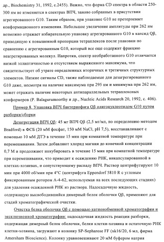 Способы упаковки олигонуклеотидов в вирусоподобные частицы рнк-содержащих бактериофагов (патент 2476595)