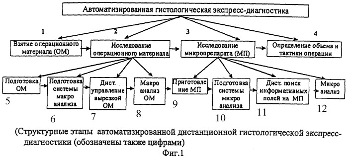 Способ микроскопического исследования образца (патент 2318201)