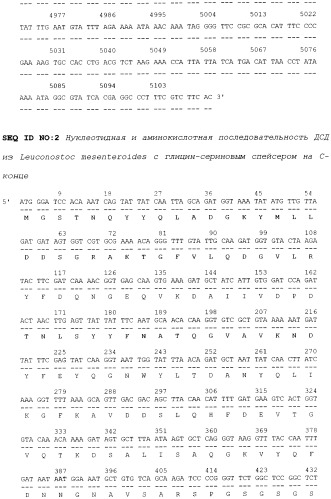 Рекомбинантная белковая конструкция дсд-сп- -гал, обладающая активностью фермента термостабильной  -галактозидазы (лактазы) и способностью аффинно связываться с декстраном, плазмидная днк pgd-10, определяющая биосинтез дсд-сп- -гал, и штамм-продуцент escherichia coli dh5 /pgd-10 (патент 2428477)