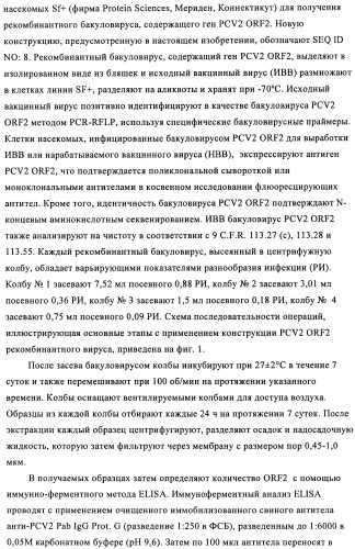 Поливалентные иммуногенные композиции pcv2 и способы получения таких композиций (патент 2488407)