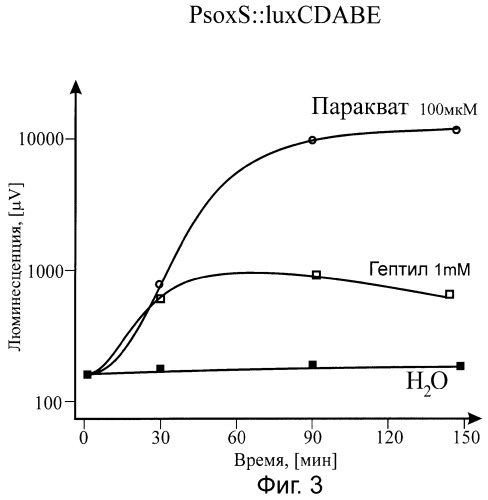 Набор lux-биосенсоров для определения гептила в среде (патент 2297450)