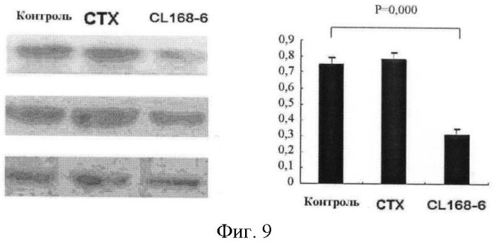 Производные стерина и их синтез и применение (патент 2507211)