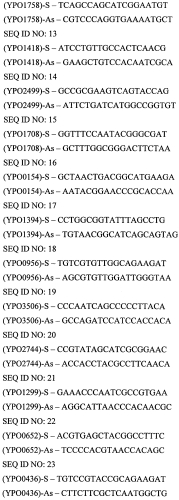 Способ определения геновариантов штаммов возбудителя чумы методом мультилокусного секвенирования (патент 2561469)