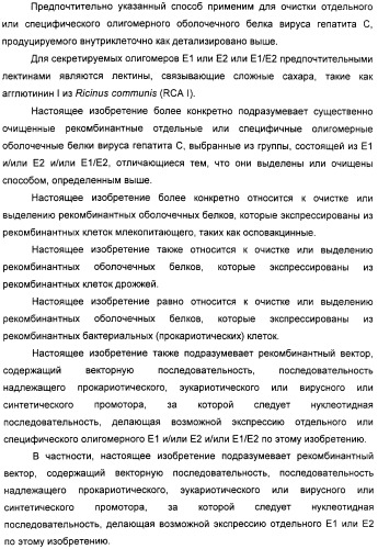 Очищенные оболочечные белки вируса гепатита с для диагностического и терапевтического применения (патент 2319505)