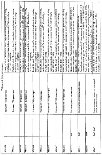 Гены corynebacterium glutamicum, кодирующие белки, участвующие в метаболизме углерода и продуцировании энергии (патент 2310686)
