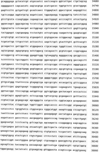 Бактериофаг, обладающий активностью против pseudomonas aeruginosa, белки бактериофага и способы их применения (патент 2580248)