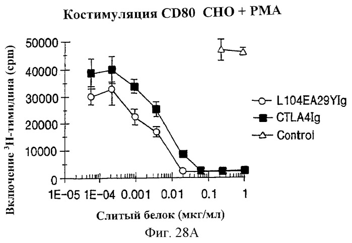 Способы лечения ревматических заболеваний с применением растворимого ctla4 (патент 2287340)