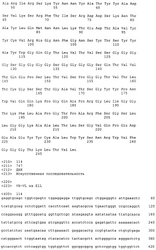 Psma×cd3 биспецифическое одноцепочечное антитело с межвидовой специфичностью (патент 2559531)