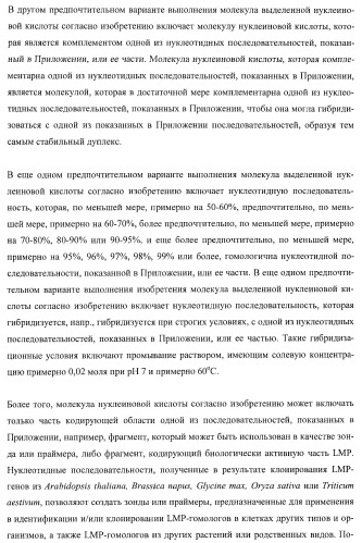 Молекулы нуклеиновых кислот, кодирующие wrinkled1-подобные полипептиды, и способы их применения в растениях (патент 2385347)