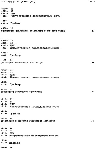 Полипептиды с направленным действием (патент 2393874)