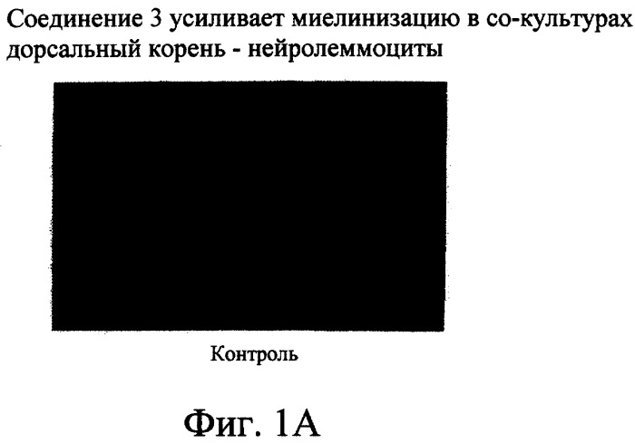 Производные пентадикарбоновой кислоты, фармацевтическая композиция на их основе и способы лечения (патент 2268881)