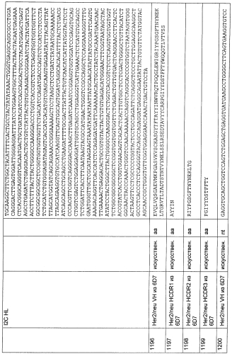 Cd3-эпсилон-связывающий домен с межвидовой специфичностью (патент 2561457)