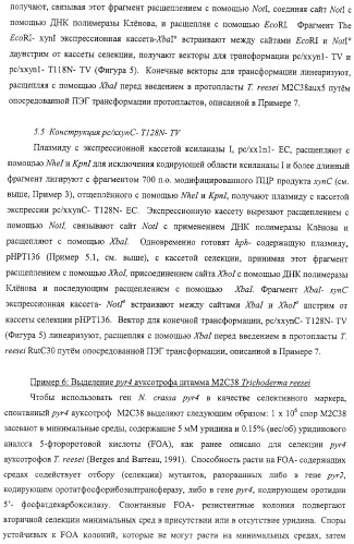 Модифицированная ксиланаза (патент 2394909)