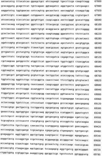 Бактериофаг, обладающий активностью против pseudomonas aeruginosa, белки бактериофага и способы их применения (патент 2580248)