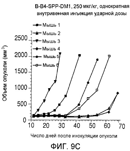 Агенты против клетки-мишени, нацеленные на cd138, и их применение (патент 2537265)