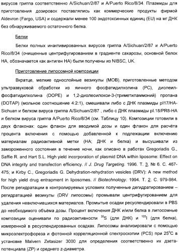 Способ усиления иммунного ответа при вакцинации нуклеиновой кислотой (патент 2311911)