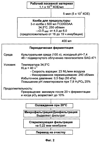 Ферментационный способ получения дифтерийного токсина (патент 2394914)