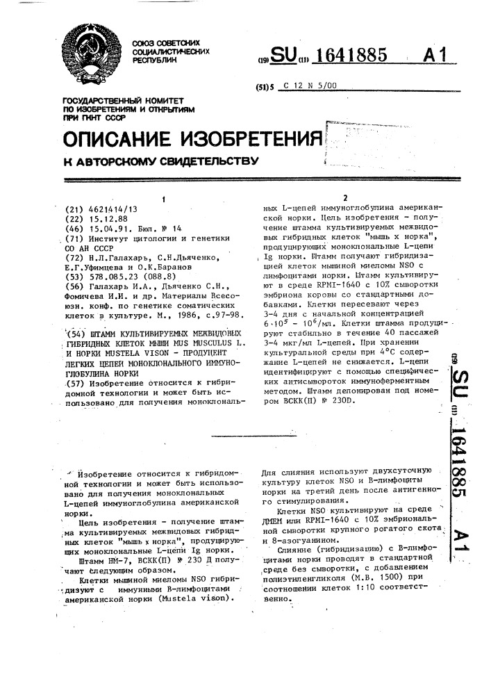 Штамм культивируемых межвидовых гибридных клеток мыши mus мusсulus l. и норки мusтеlа vison - продуцент легких цепей моноклонального иммуноглобулина норки (патент 1641885)