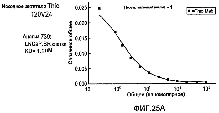 Антитела и иммуноконъюгаты и их применение (патент 2483080)