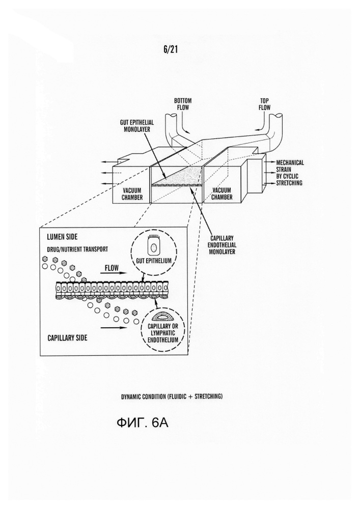 Система культивирования клеток (патент 2612915)