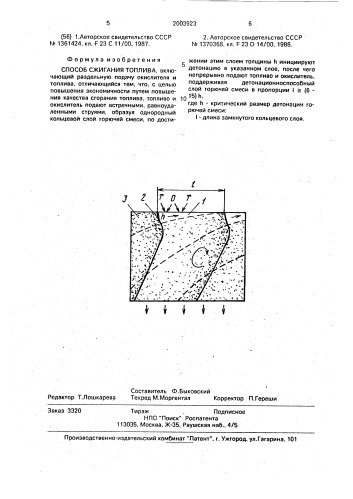 Способ сжигания топлива (патент 2003923)