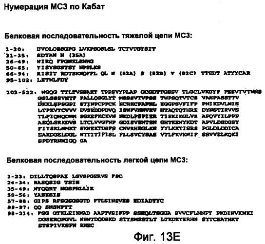 Способы профилактики и лечения ракового метастаза и разрежения кости, связанного с раковым метастазом (патент 2470665)