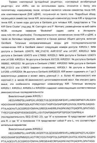 Антитела, связывающиеся с рецепторами kir2dl1,-2,-3 и не связывающиеся с рецептором kir2ds4, и их терапевтическое применение (патент 2410396)