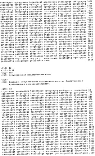 Рекомбинантные микроорганизмы, продуцирующие метионин (патент 2447146)