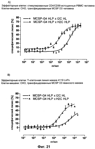 Cd3-эпсилон-связывающий домен с межвидовой специфичностью (патент 2561457)