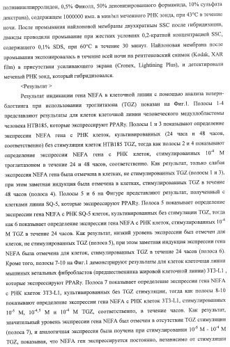 Способ получения фактора, связанного с контролем над потреблением пищи и/или массой тела, полипептид, обладающий активностью подавления потребления пищи и/или прибавления в весе, молекула нуклеиновой кислоты, кодирующая полипептид, способы и применение полипептида (патент 2418002)