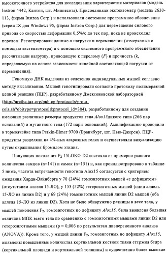 Способ лечения и предупреждения потери костной ткани (патент 2319483)