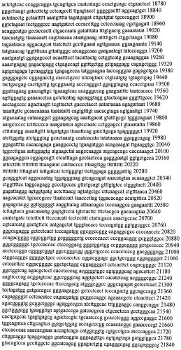 Модуляция экспрессии гентингтина (патент 2562861)