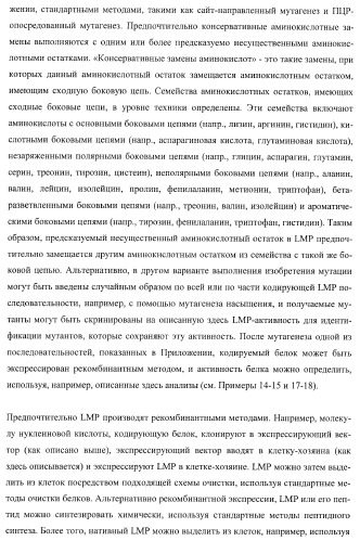 Молекулы нуклеиновых кислот, кодирующие wrinkled1-подобные полипептиды, и способы их применения в растениях (патент 2385347)