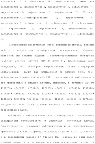Антитела против вируса гепатита с (патент 2462475)