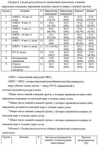 Поливалентные иммуногенные композиции pcv2 и способы получения таких композиций (патент 2488407)