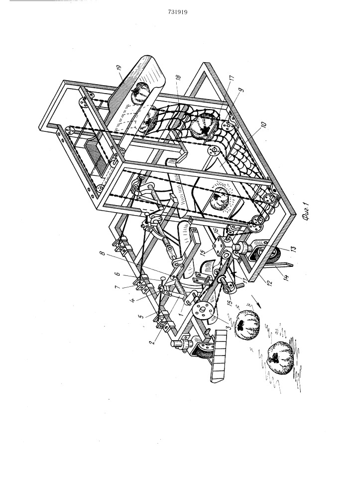 Машина для уборки плодов бахчевых культур (патент 731919)